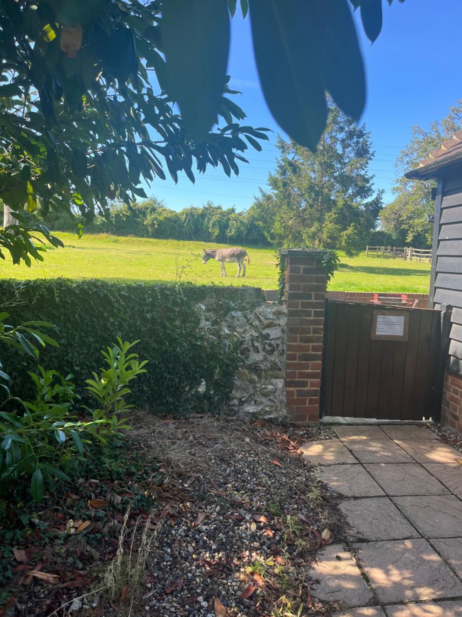 Iffin Farmhouse Guest House Canterbury Exterior photo